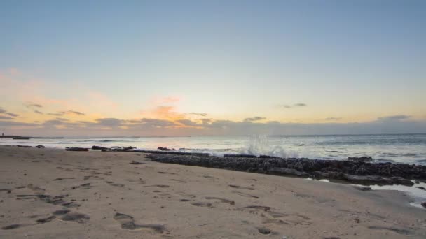 일출을 맞으며 해변의 누게와 시간을 보내는 — 비디오