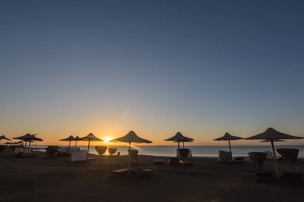 在埃及的日出时分 大海上有许多海滩遮阳伞 蓝天也没有云彩 — 图库照片