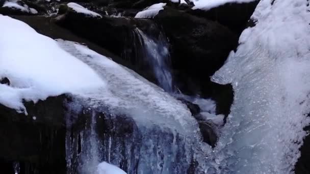 美丽的景色让我们看到了冬日的小河中结冰的水 免版税图库视频片段