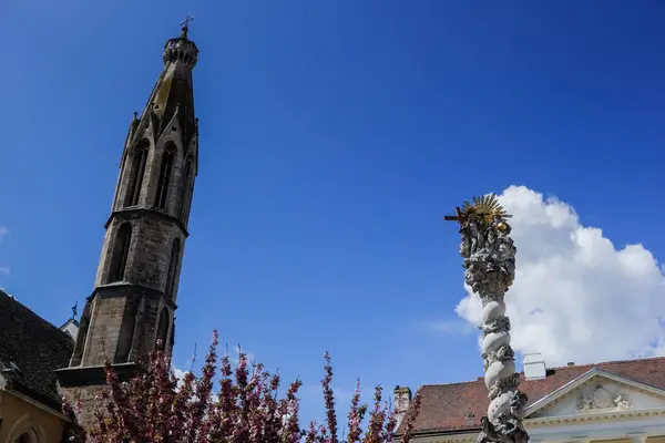 Fantastisk Gammal Katedral Med Ett Torn Och Ett Dekorerat Monument — Stockfoto