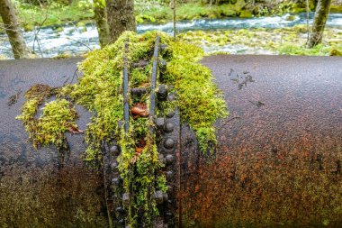 Yeşil yosun detay görünümlü eski paslı bir boru hattındaki bağlantı