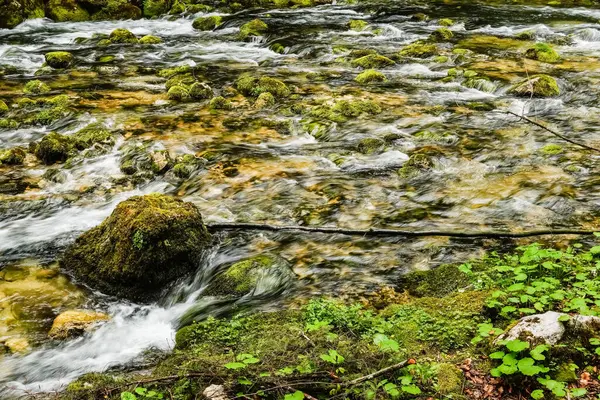 Vista Para Maravilhoso Riacho Claro Com Pedras Musgo Verde Sobre — Fotografia de Stock