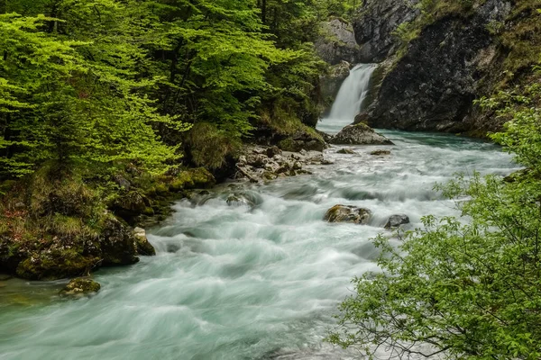 Fließender Wildbach Mit Wasserfall Einer Felsgrünen Berglandschaft Österreich lizenzfreie Stockbilder