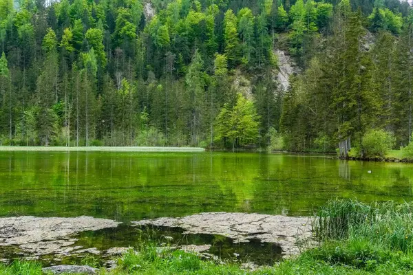 Górskie Jezioro Czystą Wodą Zielonymi Odbiciami Lasu Austrii — Zdjęcie stockowe