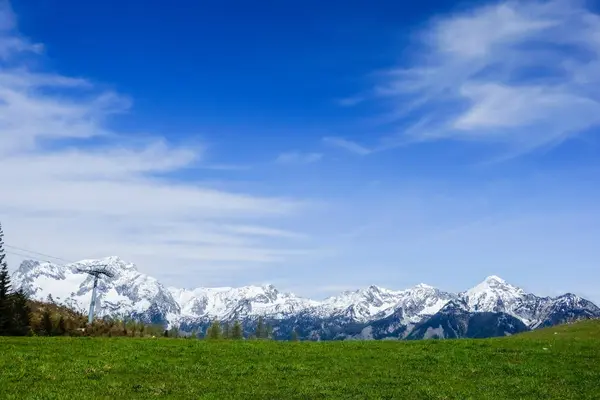 wonderful view to a snowy mountain range during standing on a green meadow