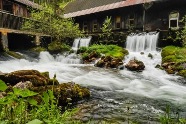 Ormandaki terk edilmiş eski bir fabrikanın yanında beyaz şelaleler akıyor.