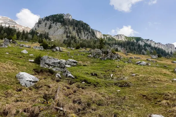 Rocas Prado Con Montañas Austria Fondo — Foto de Stock