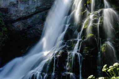 Karanlık kanyon manzaralı bir sürü tek şelalesi olan yumuşak bir şelale.