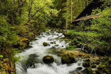 Büyük yeşil kayalarla dolu harika bir sel eski terk edilmiş bir binayla birlikte.