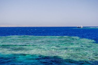 Temiz mavi suyu ve Mısır 'da beyaz bir teknesi olan harika bir mercan resifi.