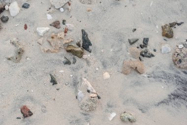 Kumsaldaki kumsalda bir sürü deniz kabuğu ve taş var.