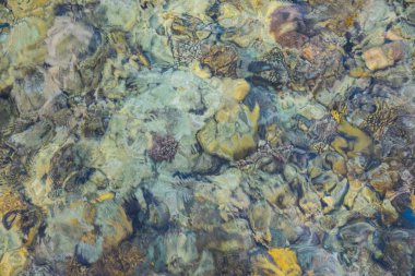 Mısır 'daki iskelede yukarıdan su manzaralı renkli mercan resifi