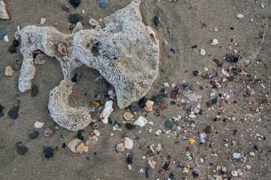 Büyük mercan, renkli taşlar ve deniz kabukları Mısır 'da tatilde kumsalın ince kumlarında.