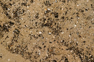 Sahilde güzel bir kız