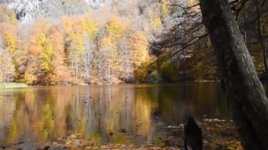 Ormandaki gölün sonbahar manzarası