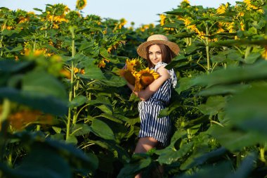 Ayçiçeği tarlasında poz veren çekici genç kadın model..