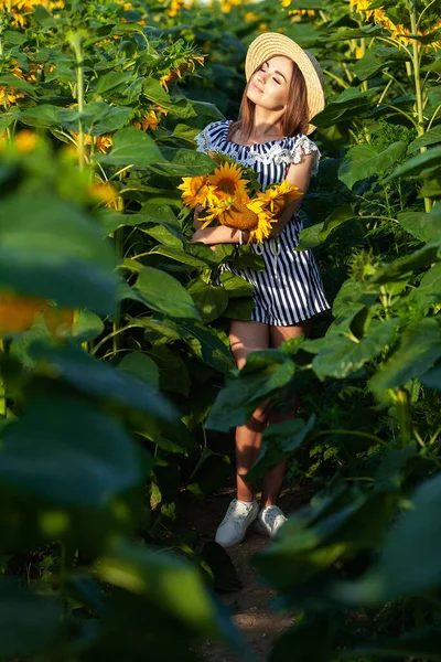 Krásná Dívka Užívající Přírodu Poli Slunečnic Při Západu Slunce — Stock fotografie
