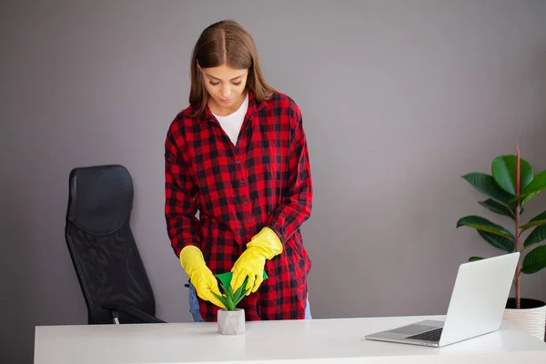 Młoda Pracownica Sprzątająca Biuro Żółtych Rękawiczkach — Zdjęcie stockowe