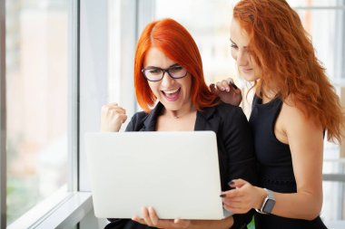 Kızıl saçlı, pozitif, güzel, iş kadını ofiste dizüstü bilgisayar kullanarak oturuyor.