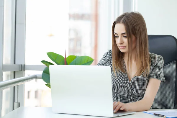 Şirket Ofisinde Dizüstü Bilgisayarda Çalışan Genç Bir Kadın — Stok fotoğraf