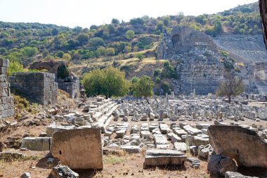 Türkiye 'nin Efes kentindeki evler, Roma döneminde zenginlerin nasıl yaşadığını gösteriyor. Ephesus 2015 yılında dünya mirası listesine yazılmıştır. İyonya kıyısında, İzmir İli 'nde MÖ 10. yüzyılda eski Arza bölgesinde inşa edilmiştir.