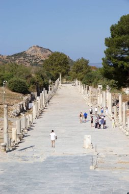 Türkiye 'nin Efes kentindeki evler, Roma döneminde zenginlerin nasıl yaşadığını gösteriyor. Ephesus 2015 yılında dünya mirası listesine yazılmıştır. İyonya kıyısında, İzmir İli 'nde MÖ 10. yüzyılda eski Arza bölgesinde inşa edilmiştir.