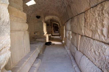 Türkiye 'nin Efes kentindeki evler, Roma döneminde zenginlerin nasıl yaşadığını gösteriyor. Ephesus 2015 yılında dünya mirası listesine yazılmıştır. İyonya kıyısında, İzmir İli 'nde MÖ 10. yüzyılda eski Arza bölgesinde inşa edilmiştir.