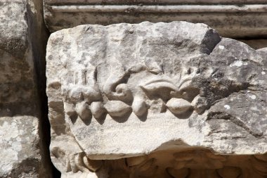 Türkiye 'nin Efes kentindeki evler, Roma döneminde zenginlerin nasıl yaşadığını gösteriyor. Ephesus 2015 yılında dünya mirası listesine yazılmıştır. İyonya kıyısında, İzmir İli 'nde MÖ 10. yüzyılda eski Arza bölgesinde inşa edilmiştir.