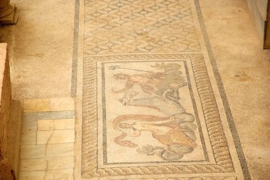 Türkiye 'nin Efes kentindeki evler, Roma döneminde zenginlerin nasıl yaşadığını gösteriyor. Ephesus 2015 yılında dünya mirası listesine yazılmıştır. İyonya kıyısında, İzmir İli 'nde MÖ 10. yüzyılda eski Arza bölgesinde inşa edilmiştir.