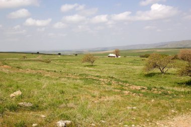 Güney Kazakistan 'ın ilk yolu boyunca uzanan Otrar şehrinin manzarası. Otrar, Orta Asya tarihinde önemli bir şehirdir. Büyük bir vaha ve siyasi bölgenin merkeziydi.