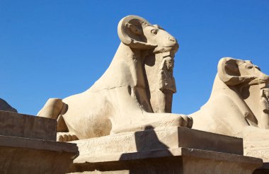 Mısır 'ın Luxor kentindeki Karnak Tapınağı kompleksindeki Ram başlı sfenks heykelleri. Kompleks Cpmprises tapınaklar, sütunlar, şapeller ve diğer binaların geniş bir karışımıdır. İnşaat, MÖ 1971-1926 yılları arasında hüküm süren I. Senusret döneminde başladı..