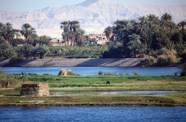 Nil nehri boyunca Luxor ve Aswan arasındaki manzara, Mısır. Peyzaj ve balıkçı