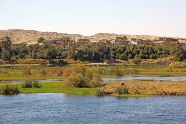 Nil nehri boyunca Lüksör ve Aswan arasındaki köy ve manzara, Mısır.  