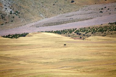 Tacikistan 'daki Gorno-Badakhshan' da peyzaj. Afganistan sınırının yanında. Badakhshan, Tacikistan 'ın doğusunda, Pamir Dağları' nda özerk bir bölgedir.