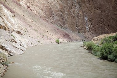 Tacikistan 'daki Gorno-Badakhshan' daki Bartang Nehri 'nin manzarası. Badakhshan, Tacikistan 'ın doğusunda, Pamir Dağları' nda özerk bir bölgedir.