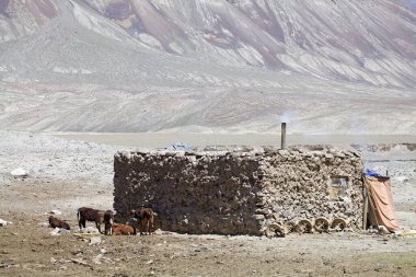 Tacikistan 'daki Gorno-Badakhshan' daki Bartang Vadisi boyunca bir göçebe çobanın evi. Badakhshan, Tacikistan 'ın doğusunda, Pamir Dağları' nda özerk bir bölgedir.