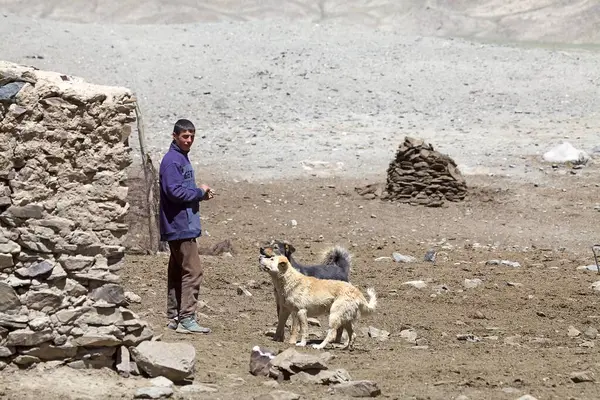 Tacikistan 'daki Gorno-Badakhshan' daki Bartang Vadisi boyunca köpeği olan göçebe bir çoban. Badakhshan, Tacikistan 'ın doğusunda, Pamir Dağları' nda özerk bir bölgedir.