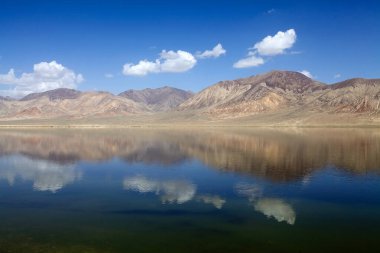 Shakhti Mağarası Petroglif, Tacikistan 'ı çiziyor. Bölge, Kurteskei Vadisi 'ndeki Murghab' ın 50 km güneybatısında.