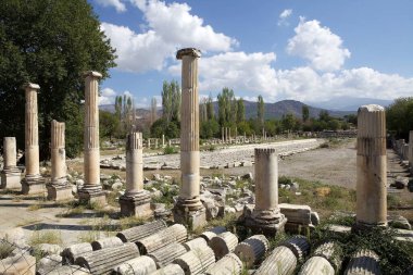 Güney Agora, Türkiye 'nin Anadolu kentinde antik bir Roma kenti olan Aphrodisias' ta. Atletik etkinlikler için kullanılıyordu.