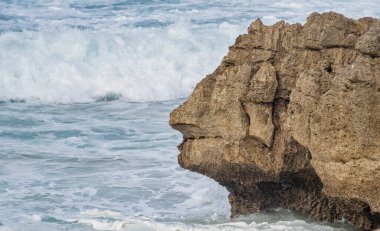 An sleeping rock face at beach
