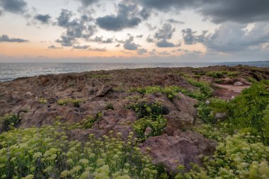 Paphos Kıbrıs 'ta sahilde kayalık bir sahil. Gün doğumu.