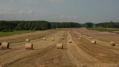  Polonya kırsalındaki bir tarladaki saman balyaları hasat ediliyor.. 