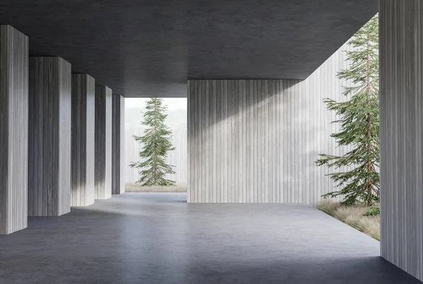 Modern Loft Style Terrace Pine Hay Garden Render Concrete Floor — Stock Photo, Image
