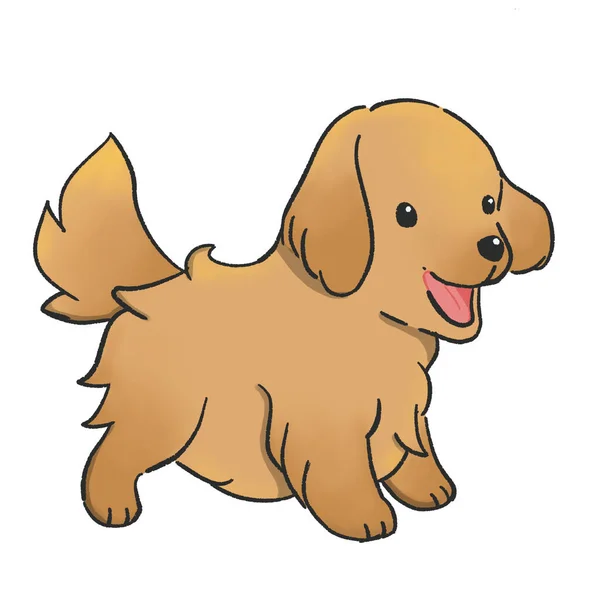 Illustration Design Hand Drawn Cute Baby Golden Retriever Dog Cartoon — Stock Photo, Image