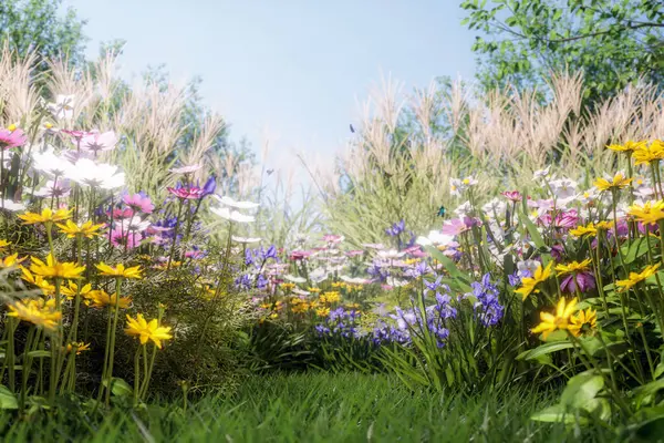 Ângulo Baixo Perto Campo Belas Flores Silvestres Coloridas Com Borboletas — Fotografia de Stock