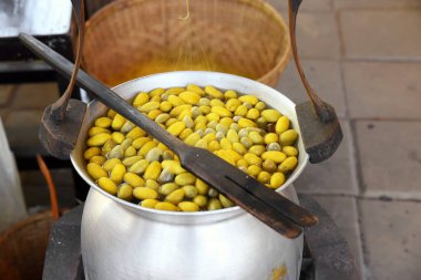 Tencerede kaynamış ipek böceği kozaları iplik üretmek için liflere ayrılır..