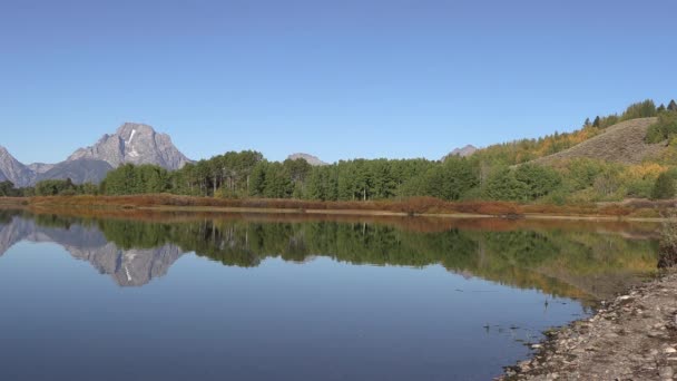 Pintoresco Reflejo Del Paisaje Otoñal Parque Nacional Grand Teton Wyoming — Vídeo de stock