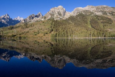 Grand Teton Ulusal Parkı 'ndaki String Gölü' nde sonbaharda manzaranın yansıması.