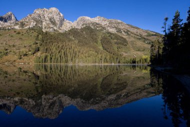 Grand Teton Ulusal Parkı 'ndaki String Gölü' nde sonbaharda manzaranın yansıması.