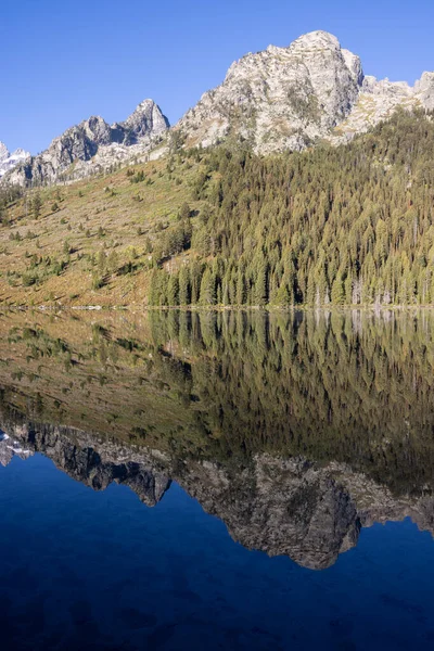 Paysage Réflexion Pittoresque Lac String Dans Parc National Grand Teton — Photo